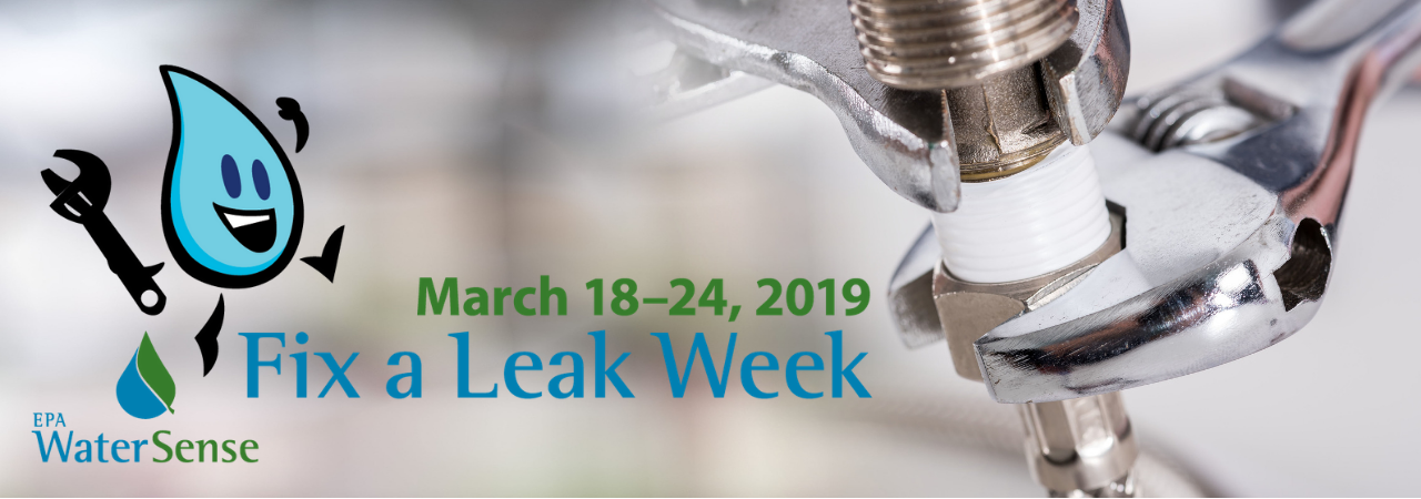 DCPSC Promotes EPA's Fix a Leak Week from March 20th to 26th
