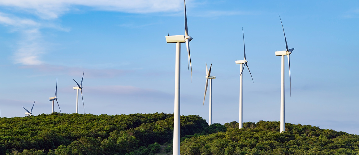 Biennial Report on Fuel Mix